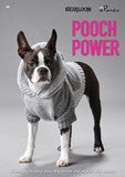 Patterns - Pets - Pooch Power